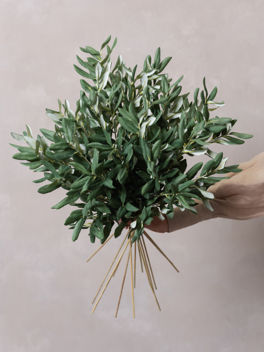 Olive [5]