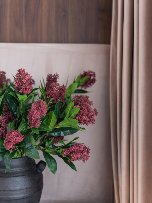 Skimmia Flower [7]