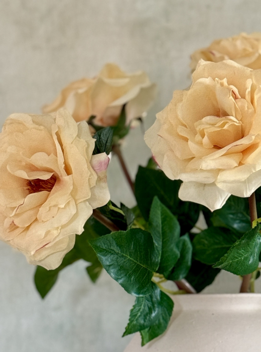 Garden Roses [2]