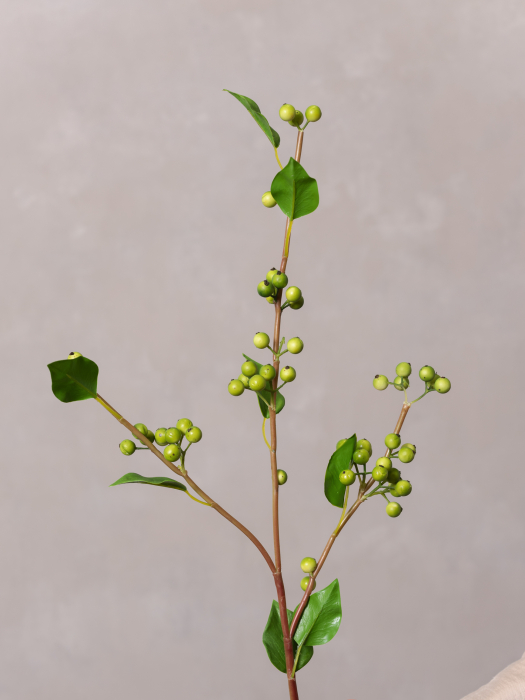 Green Berry [3]