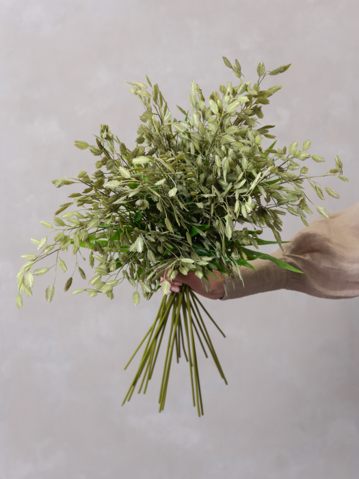 Wild Oat Grass [4]