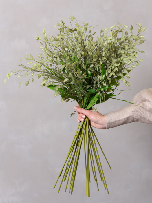 Wild Oat Grass [2]