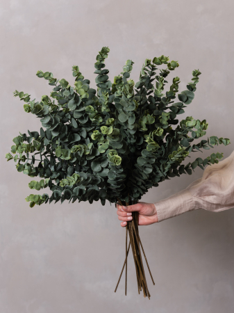 Baby Blue Eucalyptus Artificial [1]