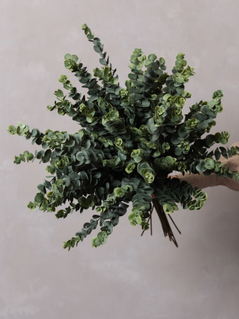 Baby Blue Eucalyptus Artificial [2]