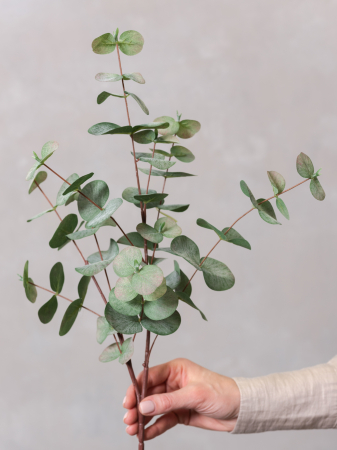 Blush Eucalyptus Artificial [2]