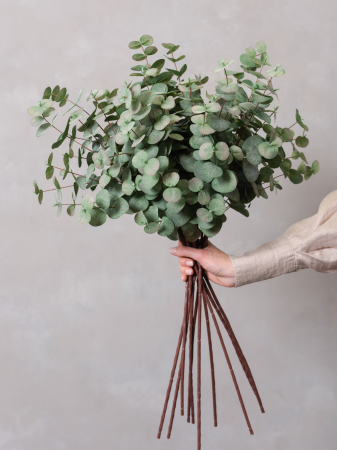 Blush Eucalyptus Artificial [1]