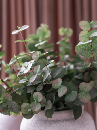 Blush Eucalyptus Artificial [7]