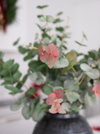 Blush Eucalyptus Artificial [1]