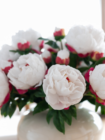 Bujor Artificial [5]