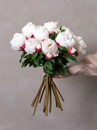 Bujor Artificial [1]