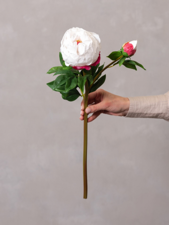 Bujor Artificial [2]