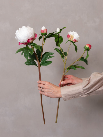 Bujor Artificial boboc [6]