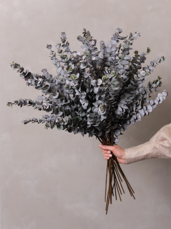 Burgundy Eucalyptus Artificial [1]