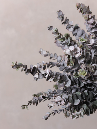 Burgundy Eucalyptus Artificial [2]