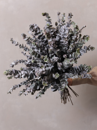 Burgundy Eucalyptus Artificial [3]