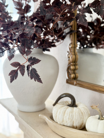 Cimicifuga Artificiala [6]