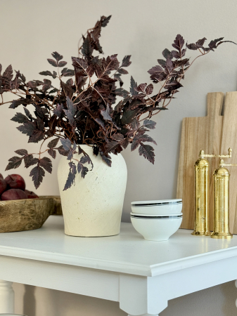 Cimicifuga Artificiala [4]