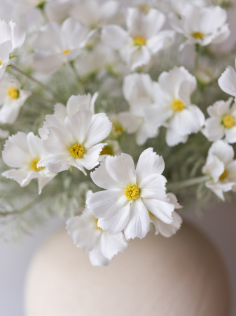 Cosmos Flower albă Artificială [7]