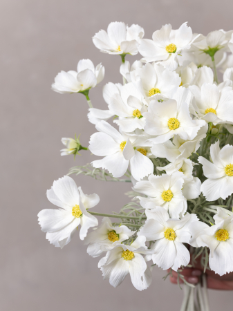 Cosmos Flower albă Artificială [4]