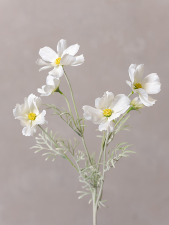 Cosmos Flower albă Artificială [2]