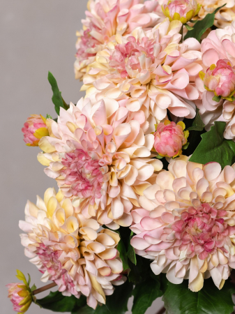 Dalia Artificială Pink [3]