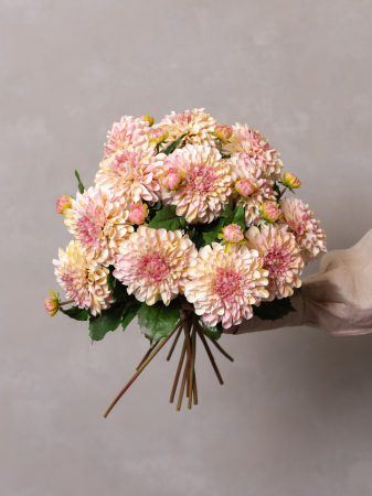 Dalia Artificială Pink [2]