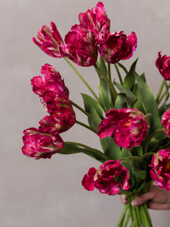 Lalea Artificială creata burdundy [3]