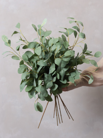 Eucalyptus Populus Artificial [3]