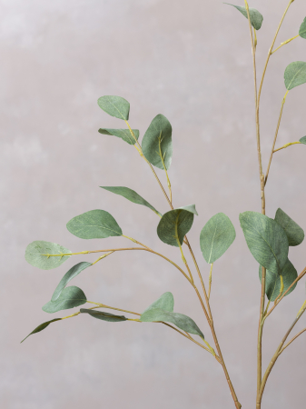 Eucalyptus Populus Artificial [2]