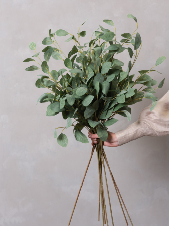 Eucalyptus Populus Artificial [1]