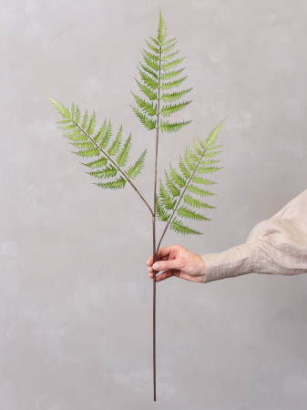 Ferigă Artificială