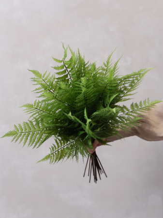 Ferigă Artificială [4]