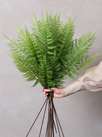 Ferigă Artificială [1]