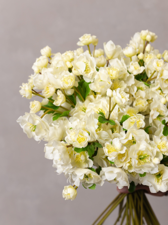 Helleborus Artificial [3]