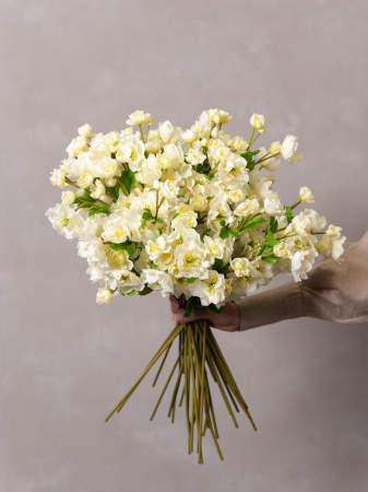 Helleborus Artificial [1]