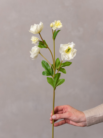 FLORI ARTIFICIALE - Helleborus Artificial