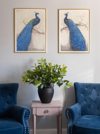 Iasomie Artificială [4]