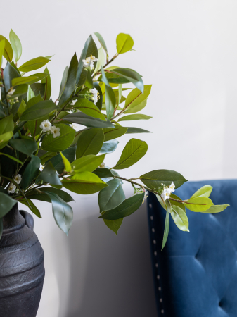 Iasomie Artificială [5]