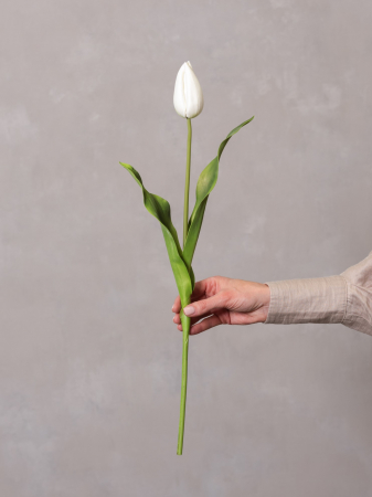 FLORI ARTIFICIALE - Lalea Artificială albă ( model 1 )