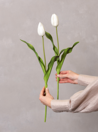 Lalea Artificială albă [5]