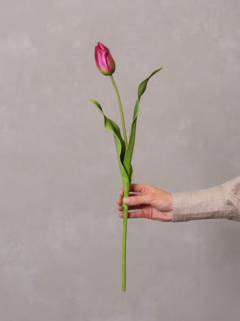 FLORI ARTIFICIALE - Lalea Artificială burgundy ( model 2 )