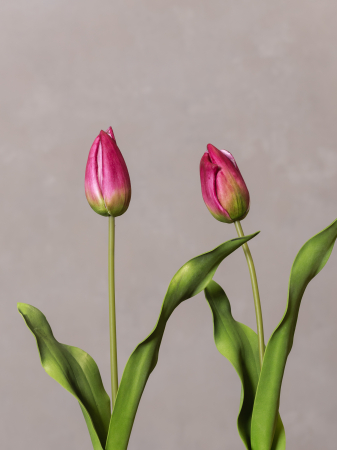 Lalea Artificiala burgundy [7]