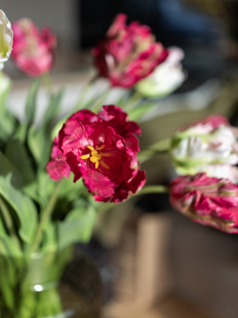 Lalea Artificială creata burdundy [6]