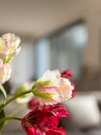 Lalea Artificială creață roz [3]