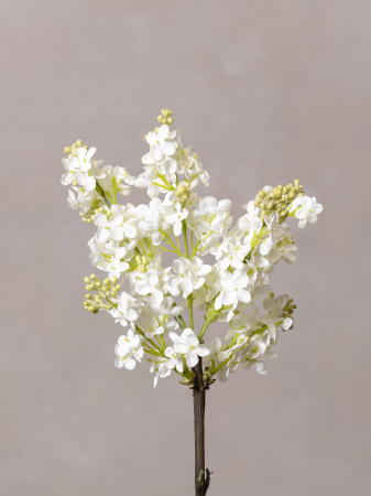 Liliac Artificial Alb [2]