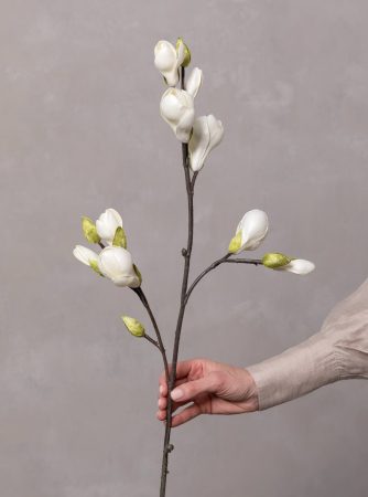 Magnolia Artificială [3]