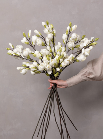 Magnolia Artificială [2]