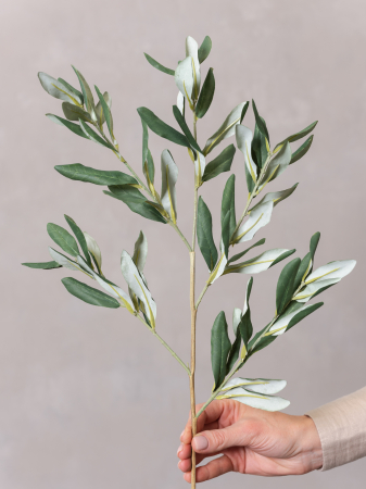 Măslin Artificial [3]