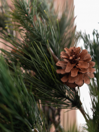 Pin ( L ) Artificial [8]