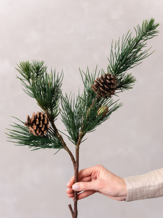 Pin ( M ) Artificial [2]